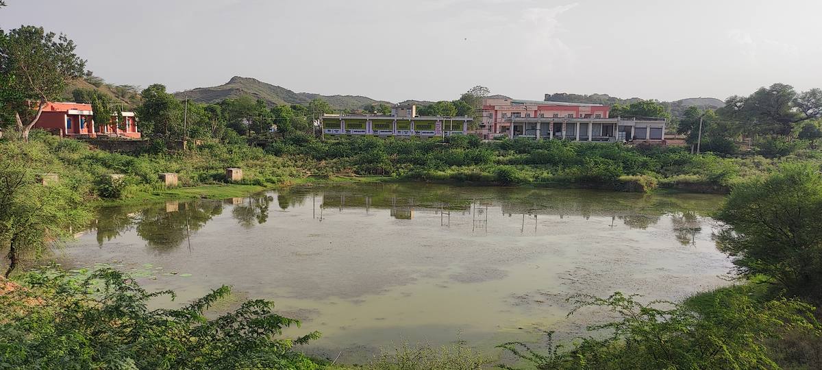 Village pond
